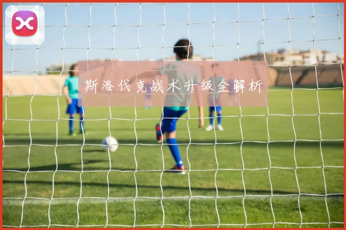 斯洛伐克战术升级全解析