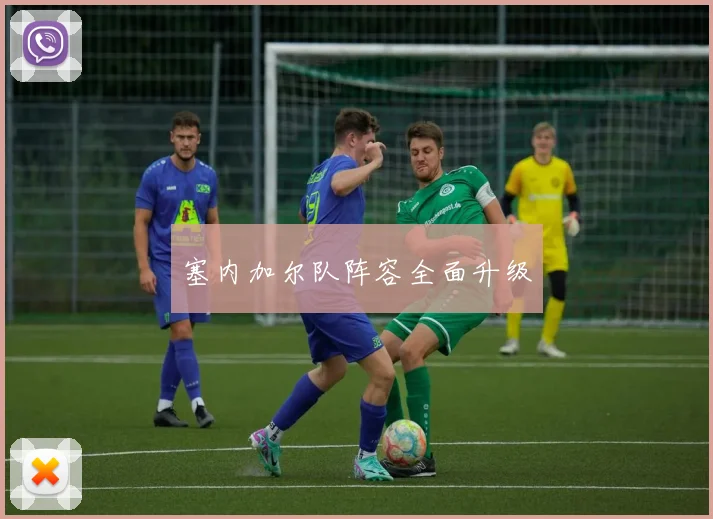 塞内加尔队阵容全面升级