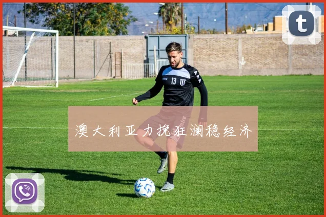 澳大利亚力挽狂澜稳经济