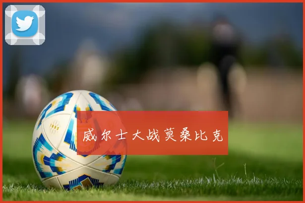 威尔士大战莫桑比克
