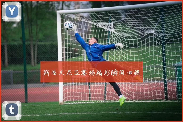 斯洛文尼亚赛场精彩瞬间回顾