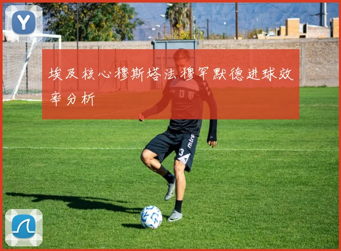 埃及核心穆斯塔法穆罕默德进球效率分析