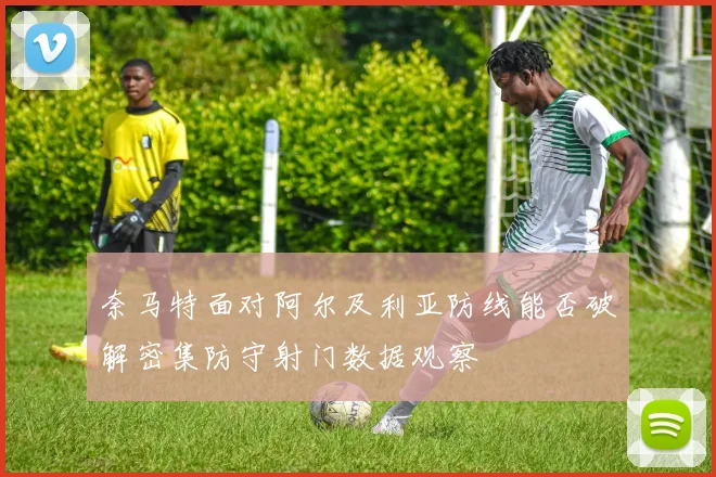 奈马特面对阿尔及利亚防线能否破解密集防守射门数据观察