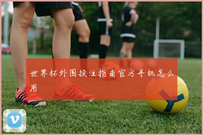 世界杯外围投注指南官方手机怎么用