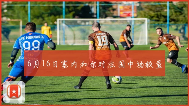 6月16日塞内加尔对法国中场较量