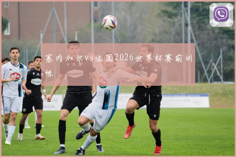塞内加尔vs法国2026世界杯赛前训练
