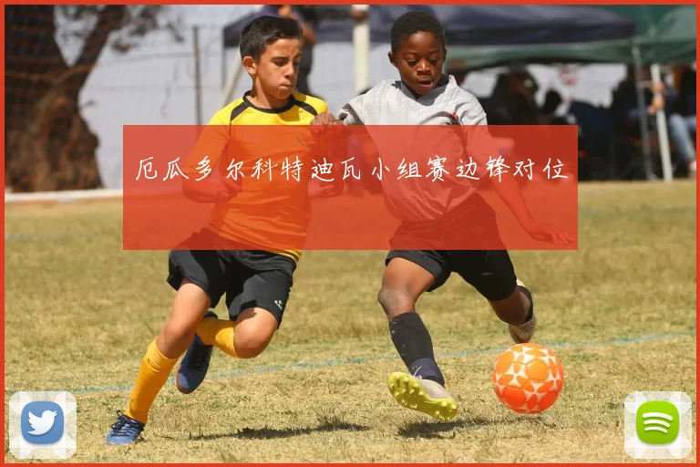 厄瓜多尔科特迪瓦小组赛边锋对位